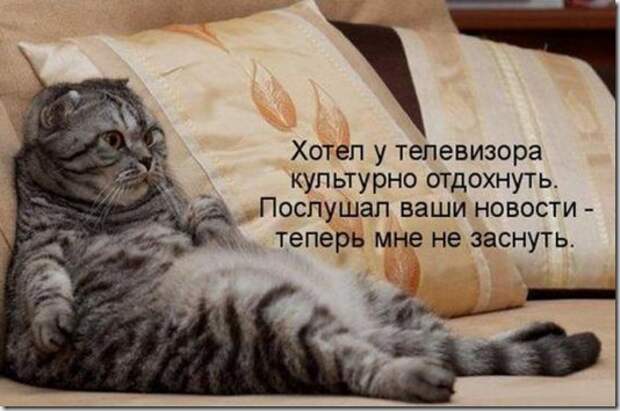 94d8cdde66d8b93f84437a429b2_prev