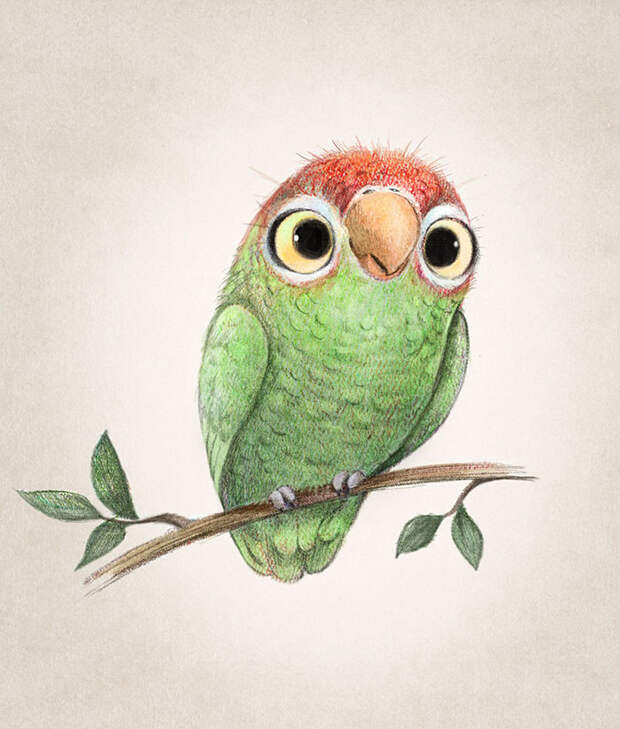 Cute Animal Illustration