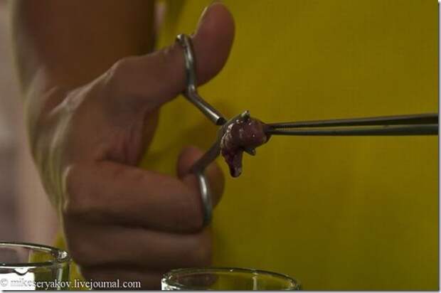 Extreme-cocktail-of-Thailand_16_(www.funnypagenet.com)