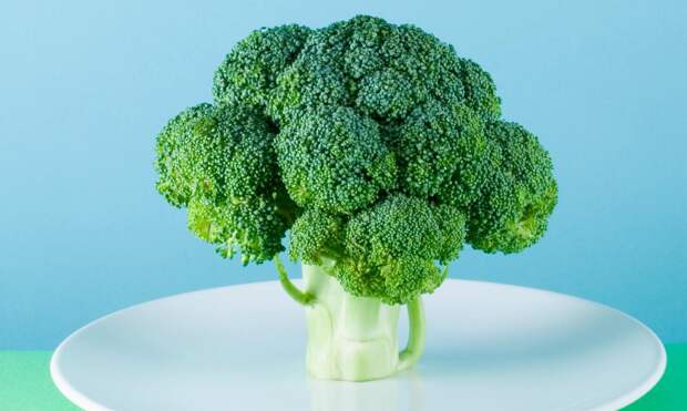 Диета для мозга: продукты, которые формируют интеллект с рождения и на всю жизнь