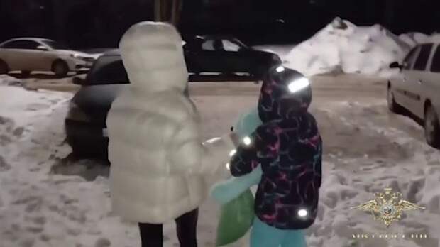 Инструкции по косичкам и тайная жизнь: странности похитителя ребенка из Смоленска