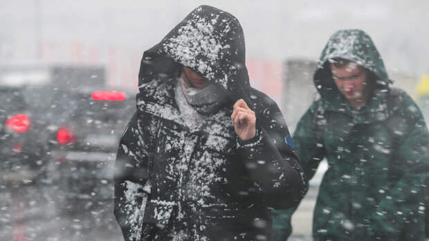 Цыганков: Москву в конце января ждут снегопады и похолодание до минус 22