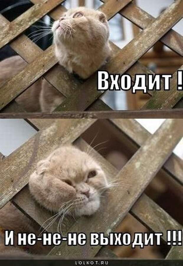 Всяко - разно 7  )))