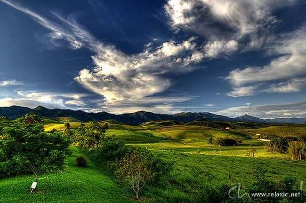 Brazil_040