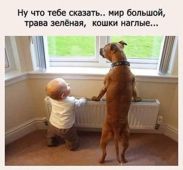 ПОЗИТИВНЫЙ ПОСТ+ 168