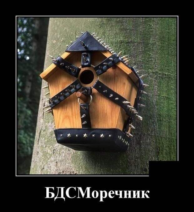 demotivatory-demotivator-smeshnye-demotivatory-demotivator-so-smyslom