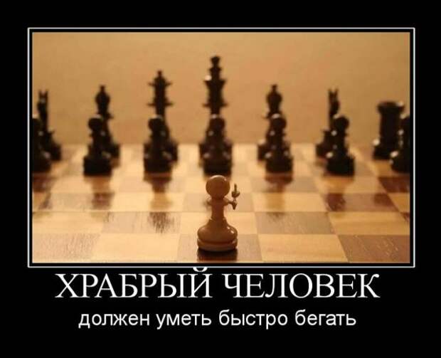 Веселые и смешные демотиваторы для настроения (11 фото) Веселые и смешные демотиваторы для настроения (11 фото)