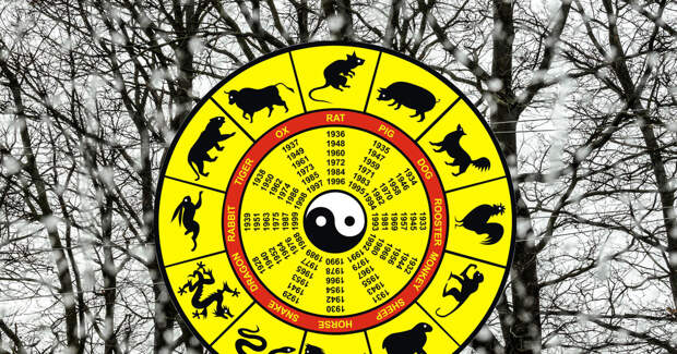 Важно вовремя остановиться: восточный гороскоп на неделю с 15 по 21 декабря 2025 года