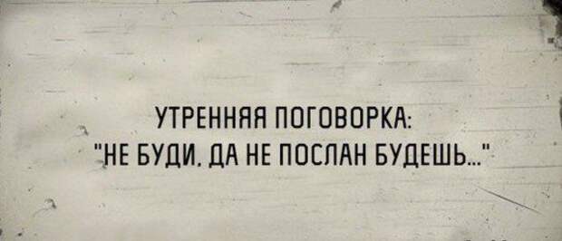 Подборка картинок. Вечерний выпуск (29 фото)