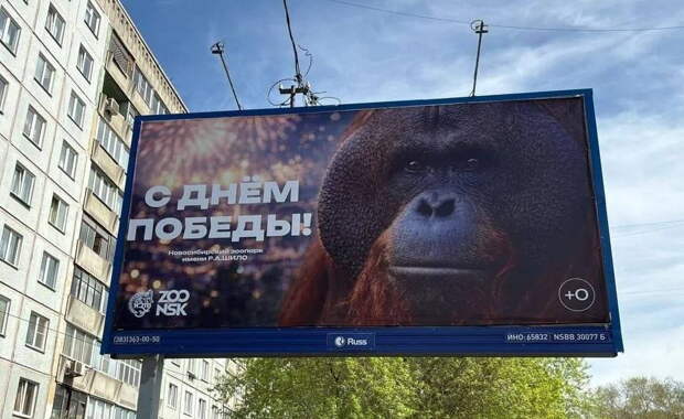 Новосибирский зоопарк поздравил горожан с Днем Победы баннером с орангутаном