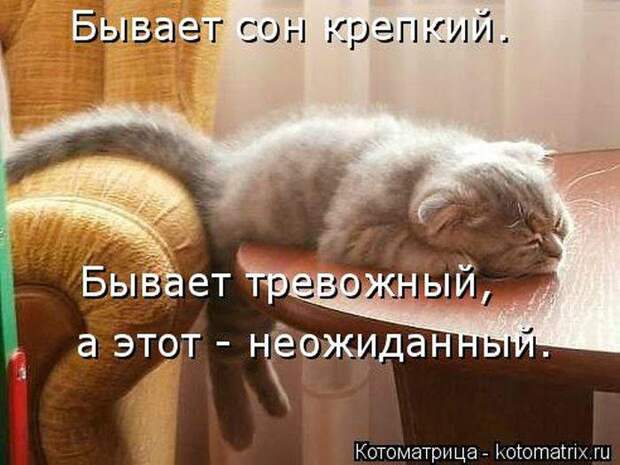 Смешные картинки про сон с надписями (15 фото) Смешные картинки про сон с надписями (15 фото)