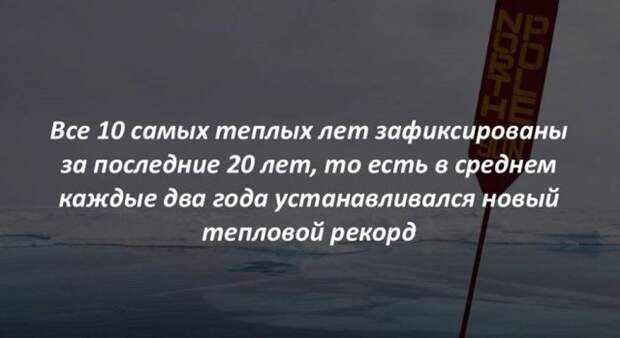 Интересные факты