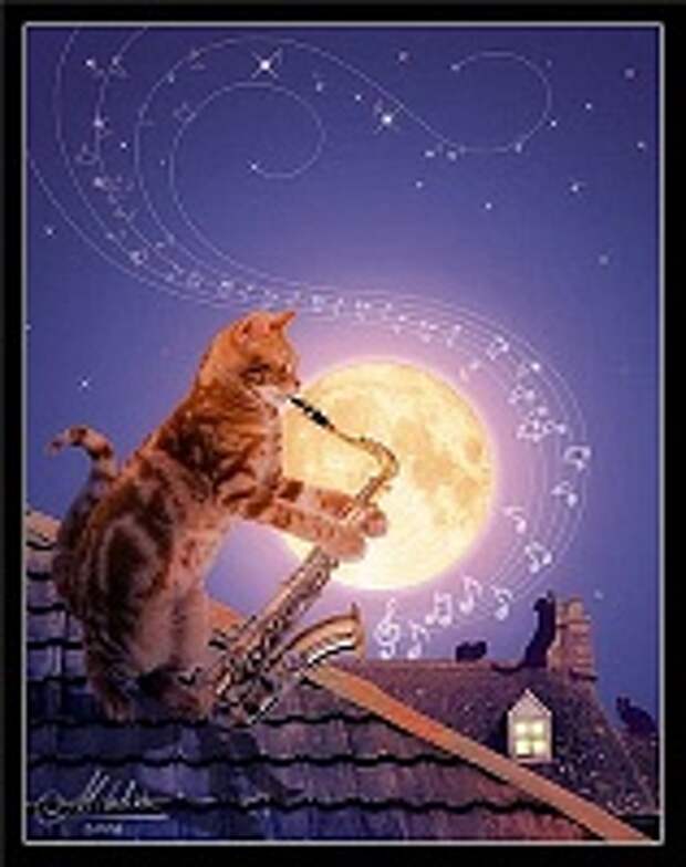Кошки и Котята 187