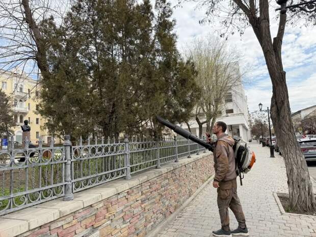 Астраханские туи подвергают необчной гигиенической процедуре