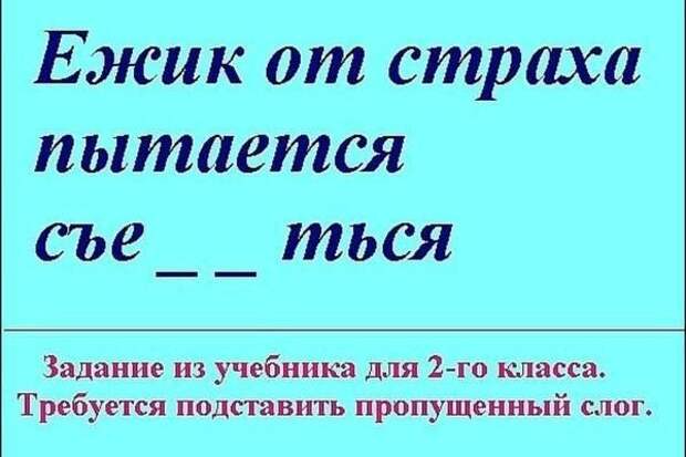 Смешные картинки с надписями прикол, юмор