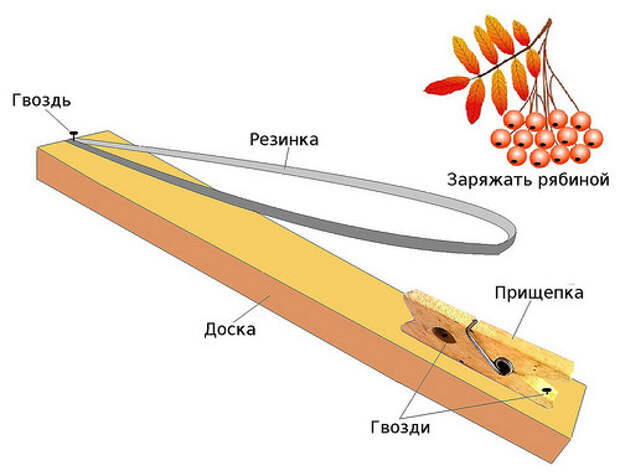 Самострел СССР, детство, история
