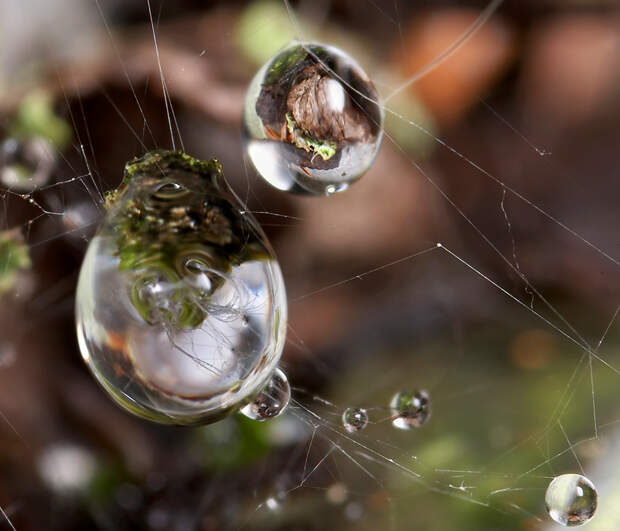 Фотографии капель воды