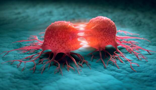 Найден простой способ замедлить рост раковых клеток