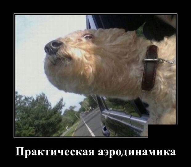 Демотиваторы (30 фото)