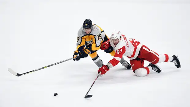 НХЛ расследует судейский скандал на матче «Нэшвилл» — «Детройт»