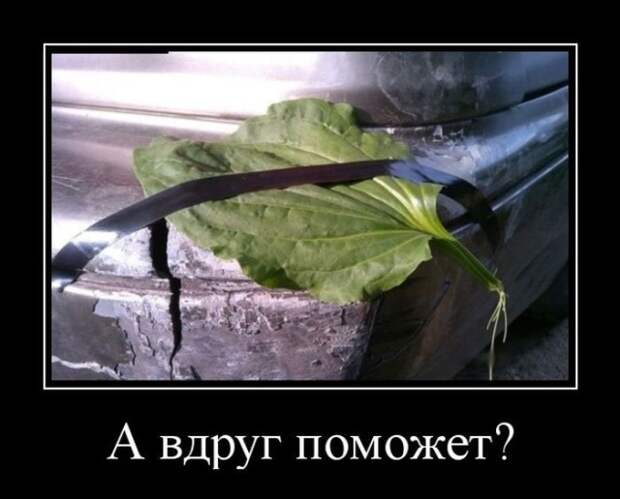 Демотиваторы (20 фото)
