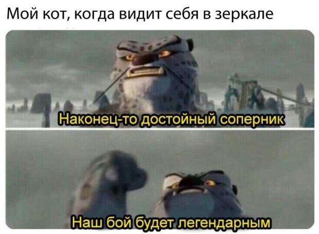 мемы февраля