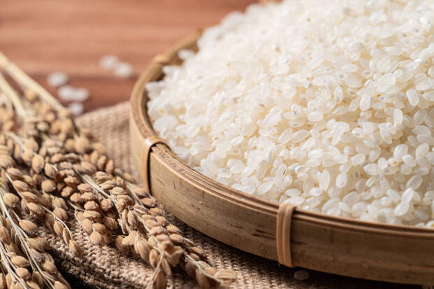 Правительство РФ продлило запрет на экспорт риса