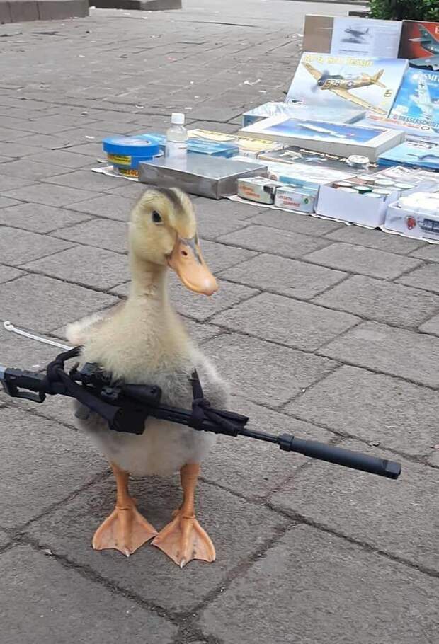 1.