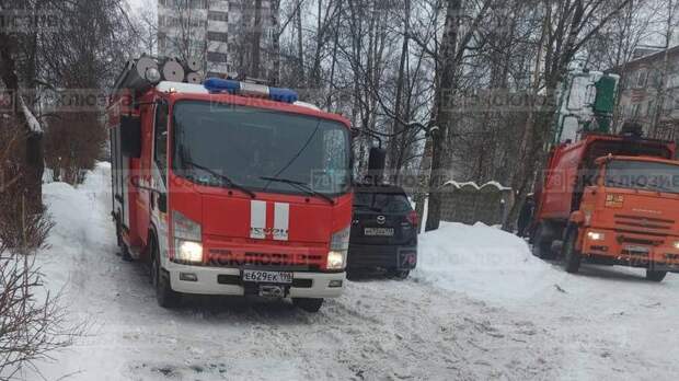 В Петергофе спасатели вытащили котёнка из «железной ловушки»