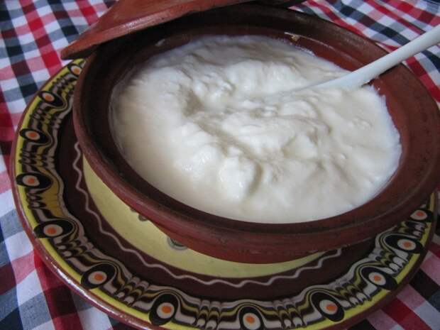 Не стоит покупать обезжиренный йогурт даже для похудения. /Фото: upload.wikimedia.org