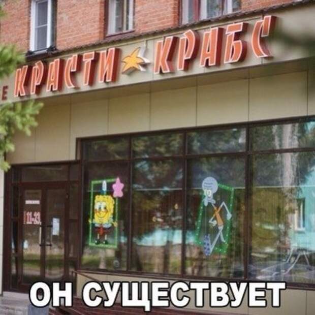 1449855103_odrs-2