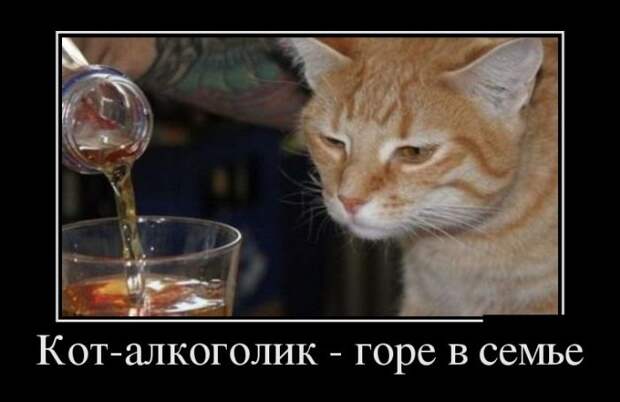 Демотиваторы (30 фото)