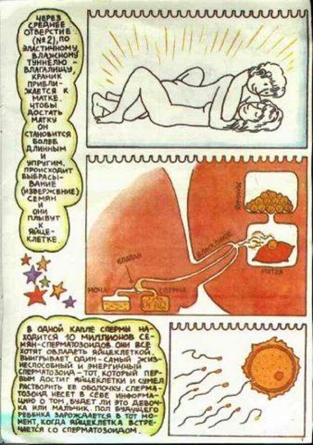 deti_13 deti_13