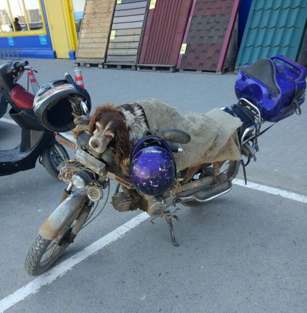 Фотоподборка