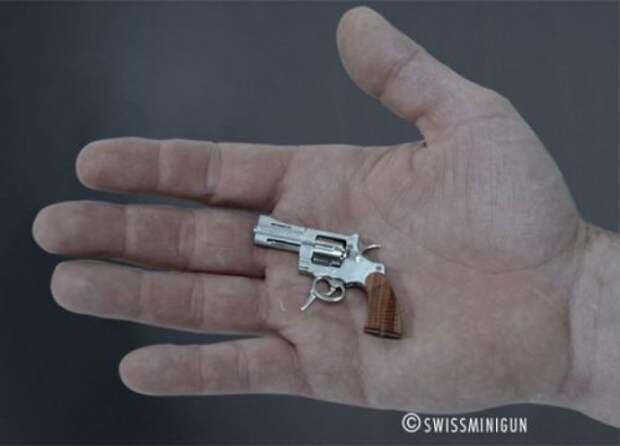 Маленькие вещи, которые в разы круче, чем их собратья нормального размера (28 фото)