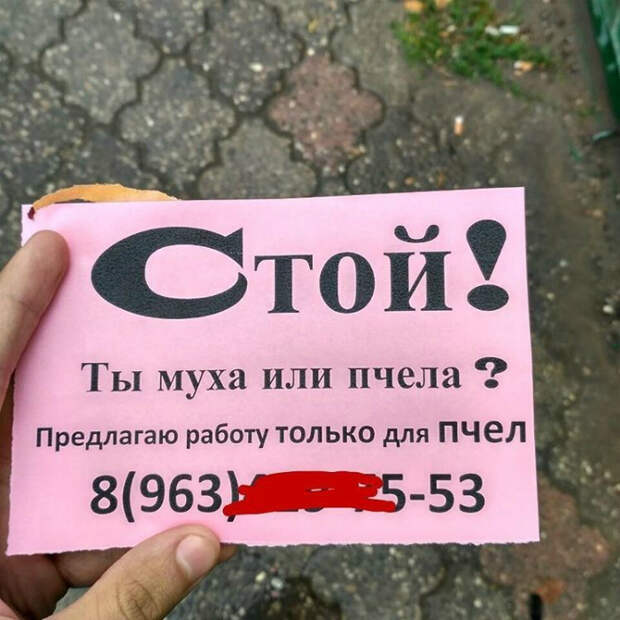 Работа для насекомых. Работа для насекомых.