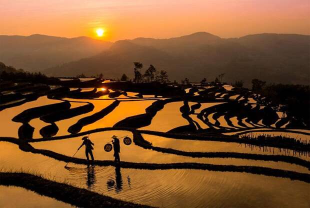 Рисовые поля, Китай