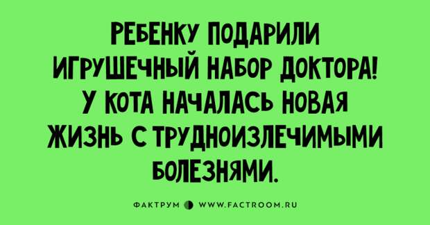 Прикольные шутки и анекдоты, которые стоит переслать всем друзьям