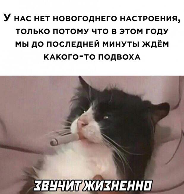 Смешные картинки 31 декабря 2020