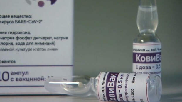 Предварительные сведения об эффективности вакцины «КовиВак» озвучили на ПМЭФ