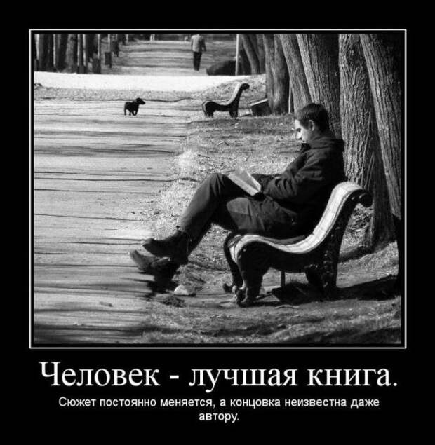 Демотиваторы (30 фото)