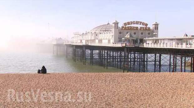 Шашлык по-британски: тысячи лондонцев вышли на пикники, игнорируя карантин (ФОТО, ВИДЕО) | Русская весна