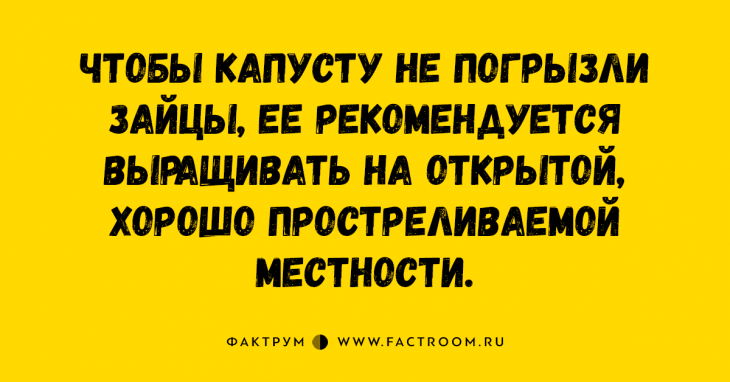 Десятка уморительных анекдотов и шуток Десятка уморительных анекдотов и шуток
