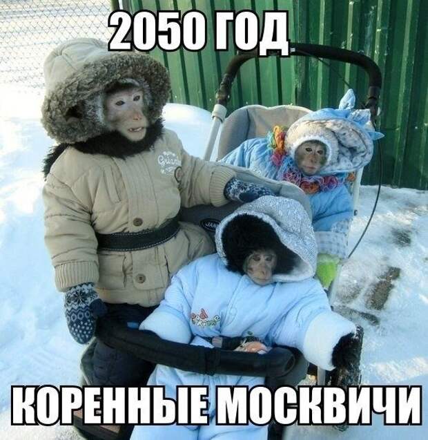 Подборка фотоприколов