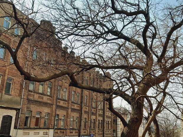 Настоящая весна пришла во Владивосток