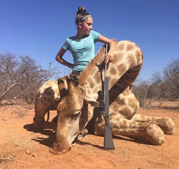 Ариана позирует с огромным жирафом, застреленным ею.  дети, животные, охота