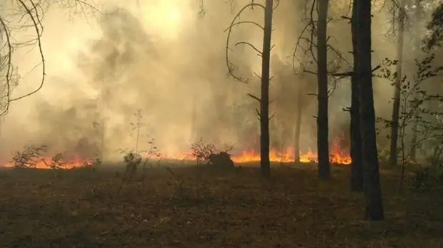 На Украине завели дело из-за пожара в чернобыльской зоне