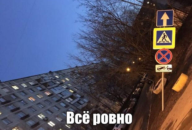 Смешные картинки с надписями для поднятия настроения (11 фото) Смешные картинки с надписями для поднятия настроения (11 фото)