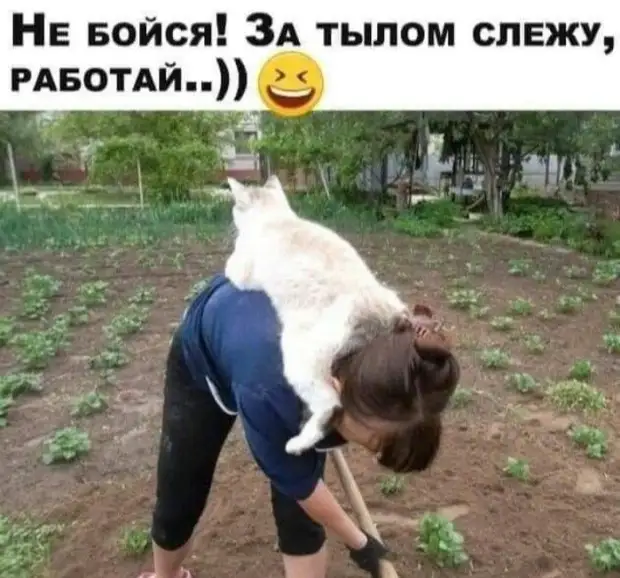 - А я свою ласково называю: зайка моя, рыбка моя, птичка моя...