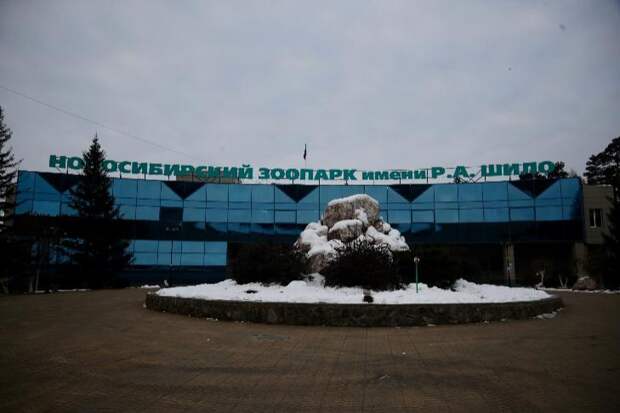 Стоимость билетов изменилась в Новосибирском зоопарке: новые тарифы
